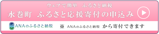 ANAのふるさと納税から寄付できます