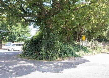 spot01.jpg
