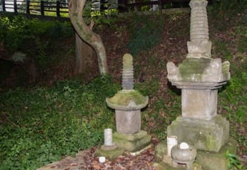 spot06.jpg