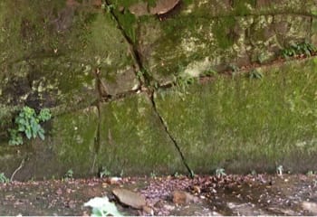 spot10_2.jpg