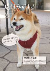>5月25日号の表紙