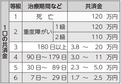 共済金の受取額