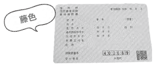 資格確認書（藤色）見本