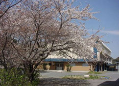 吉田小学校写真の画像