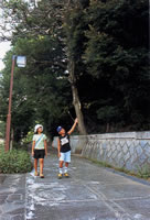 堀川歴史公園の画像