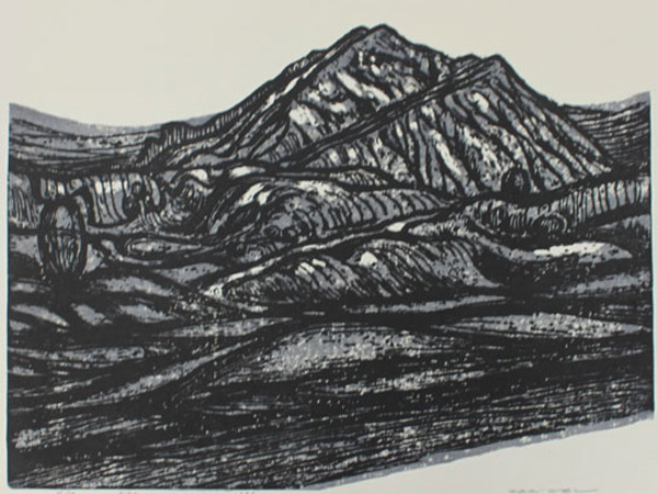 ボタ山の画像