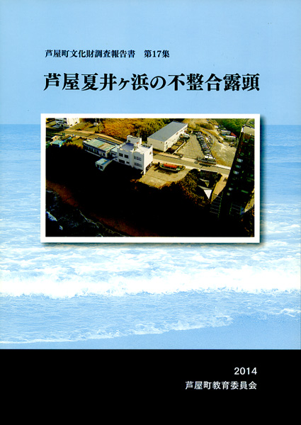 芦屋夏井ヶ浜の不整合露頭の画像