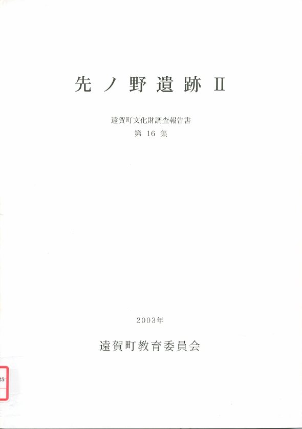 先ノ野遺跡2の画像