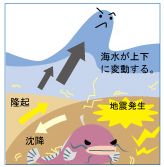 津波発生のメカニズム（図）