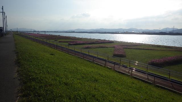 RIMG9014-resize.jpg