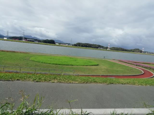 IMG_20191025_111419-resize.jpg