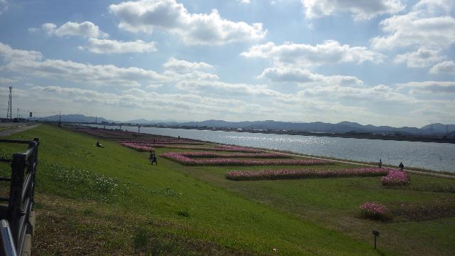 RIMG8704-resize.jpg