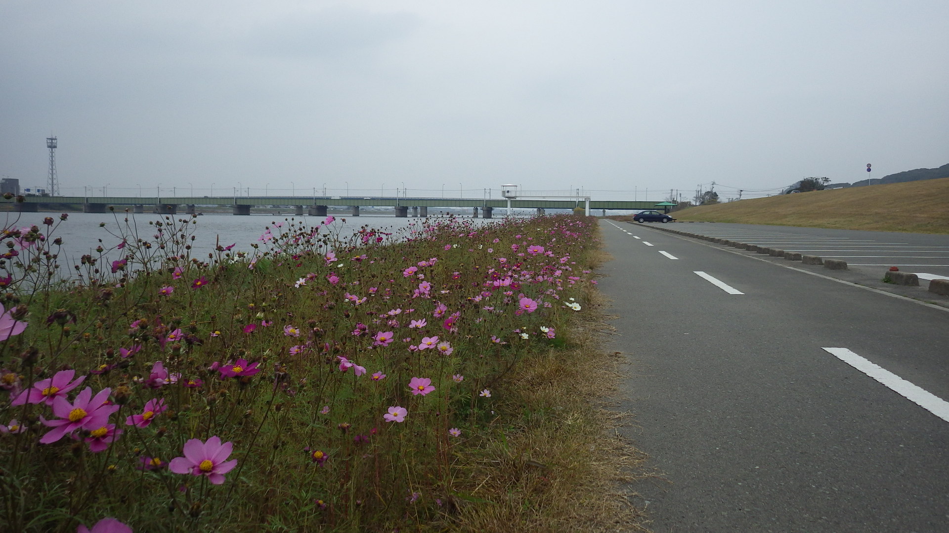 RIMG6868.jpg