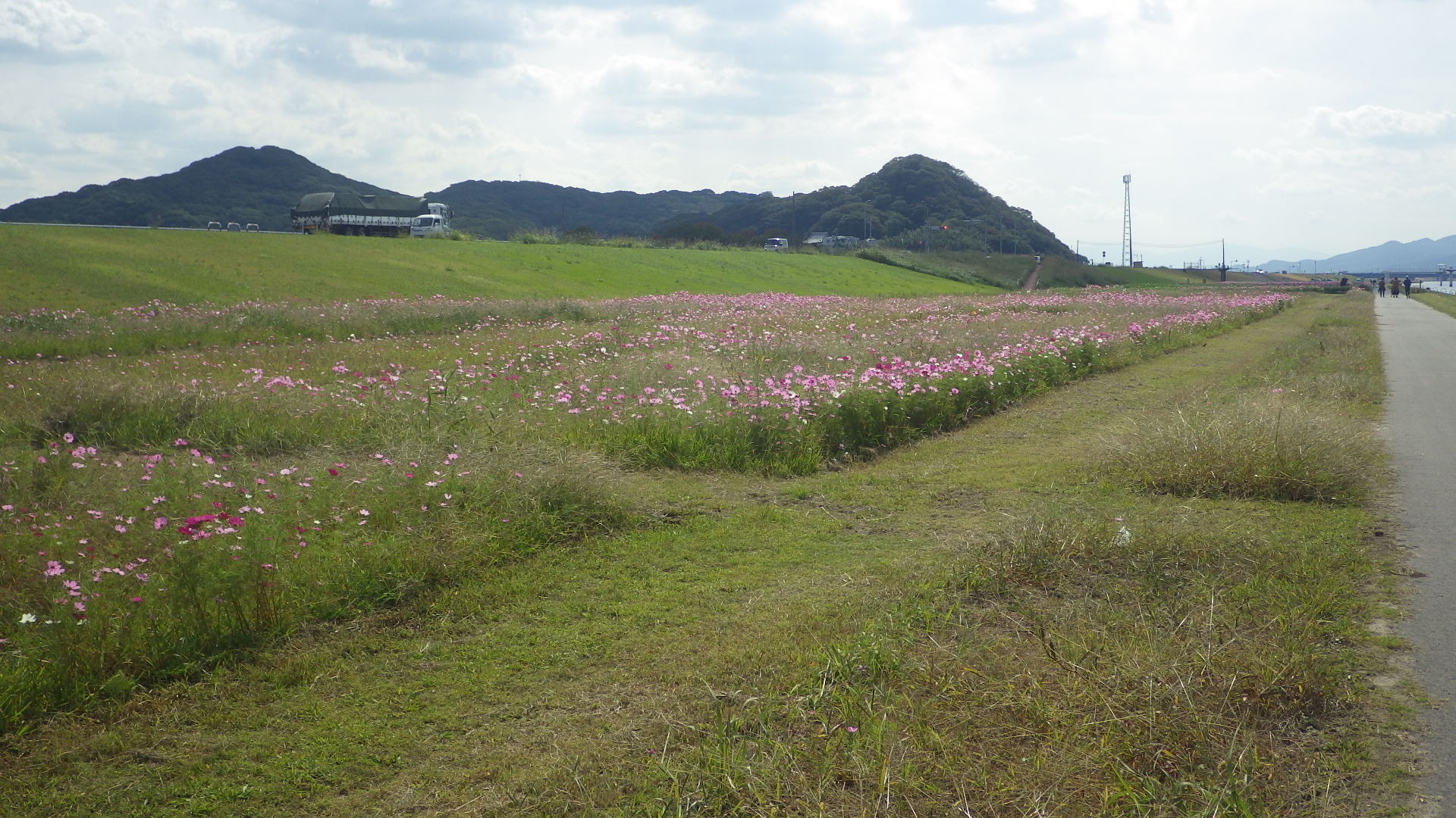 RIMG6599.jpg