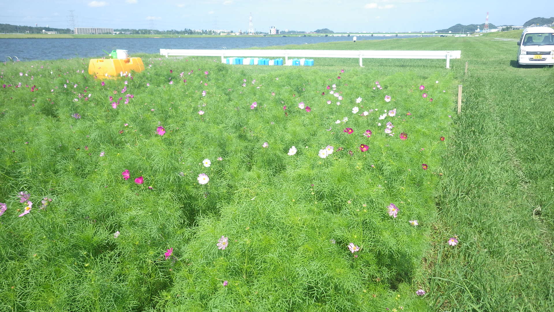 RIMG6496.jpg