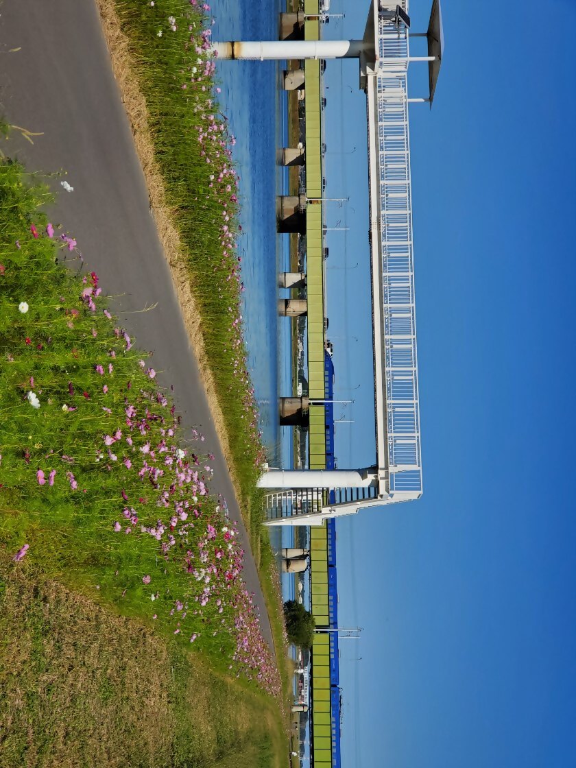 20221012_090333.jpg