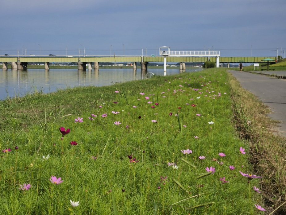 20231002_tateyashiki.jpg