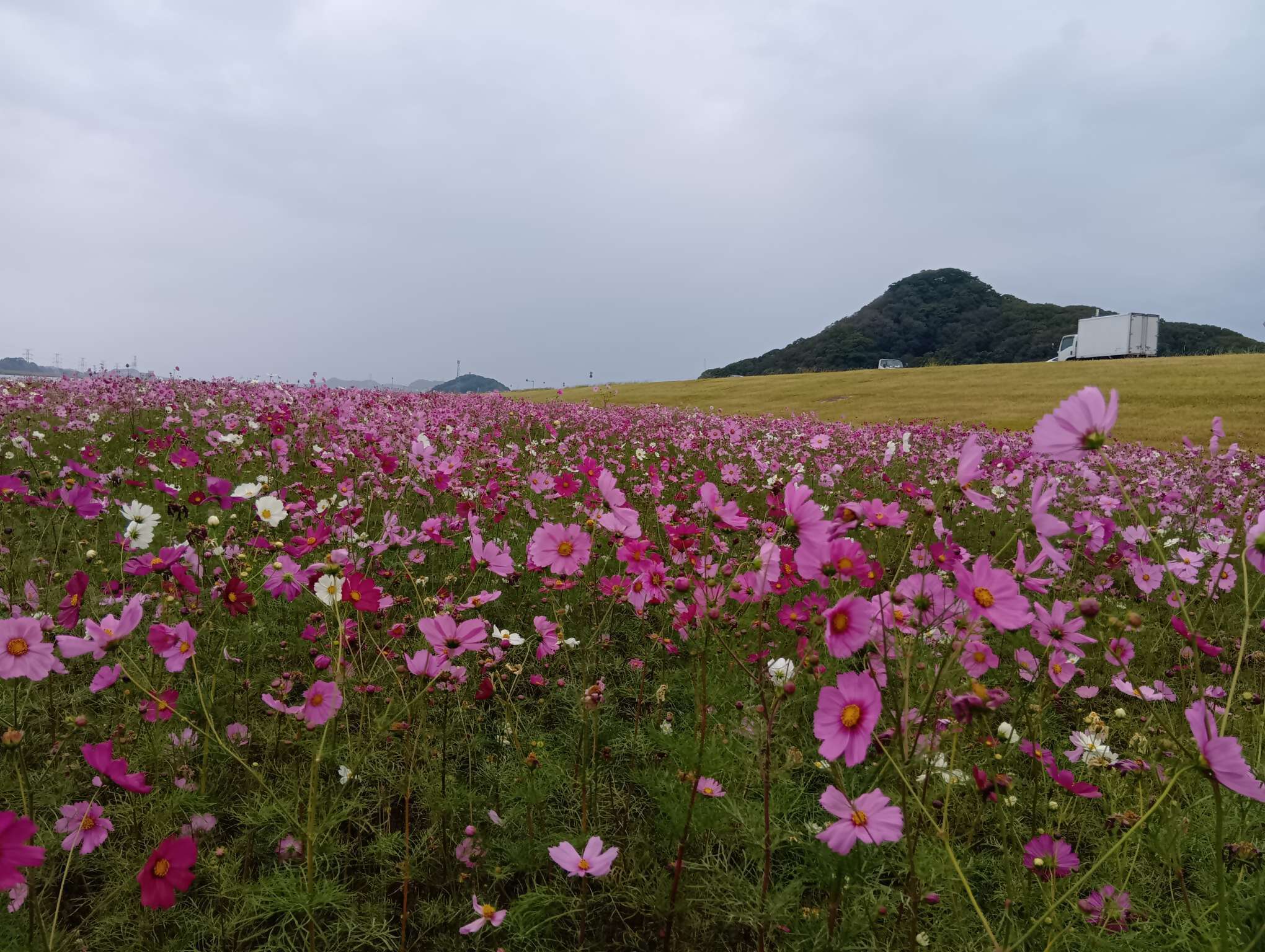 syasin (2).jpg