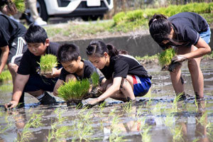 頃末小学校