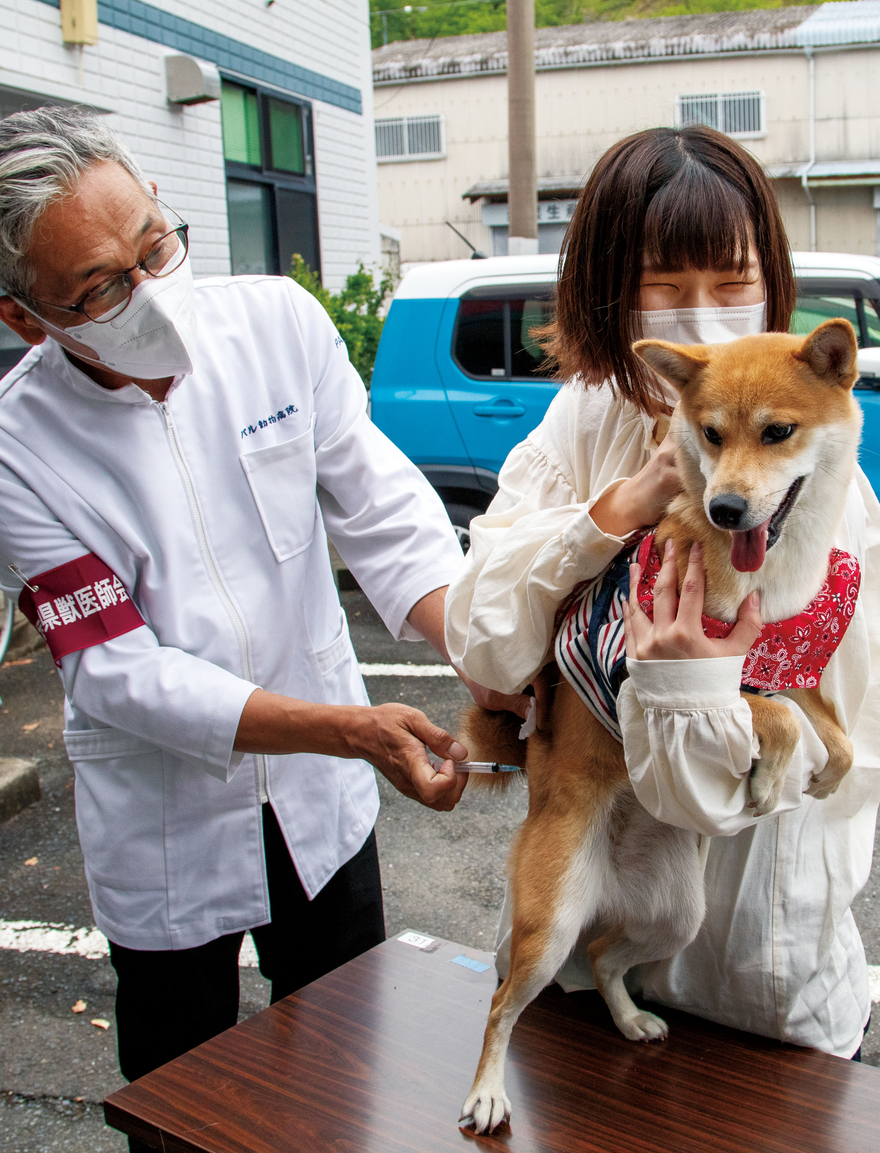 犬に予防注射をする様子