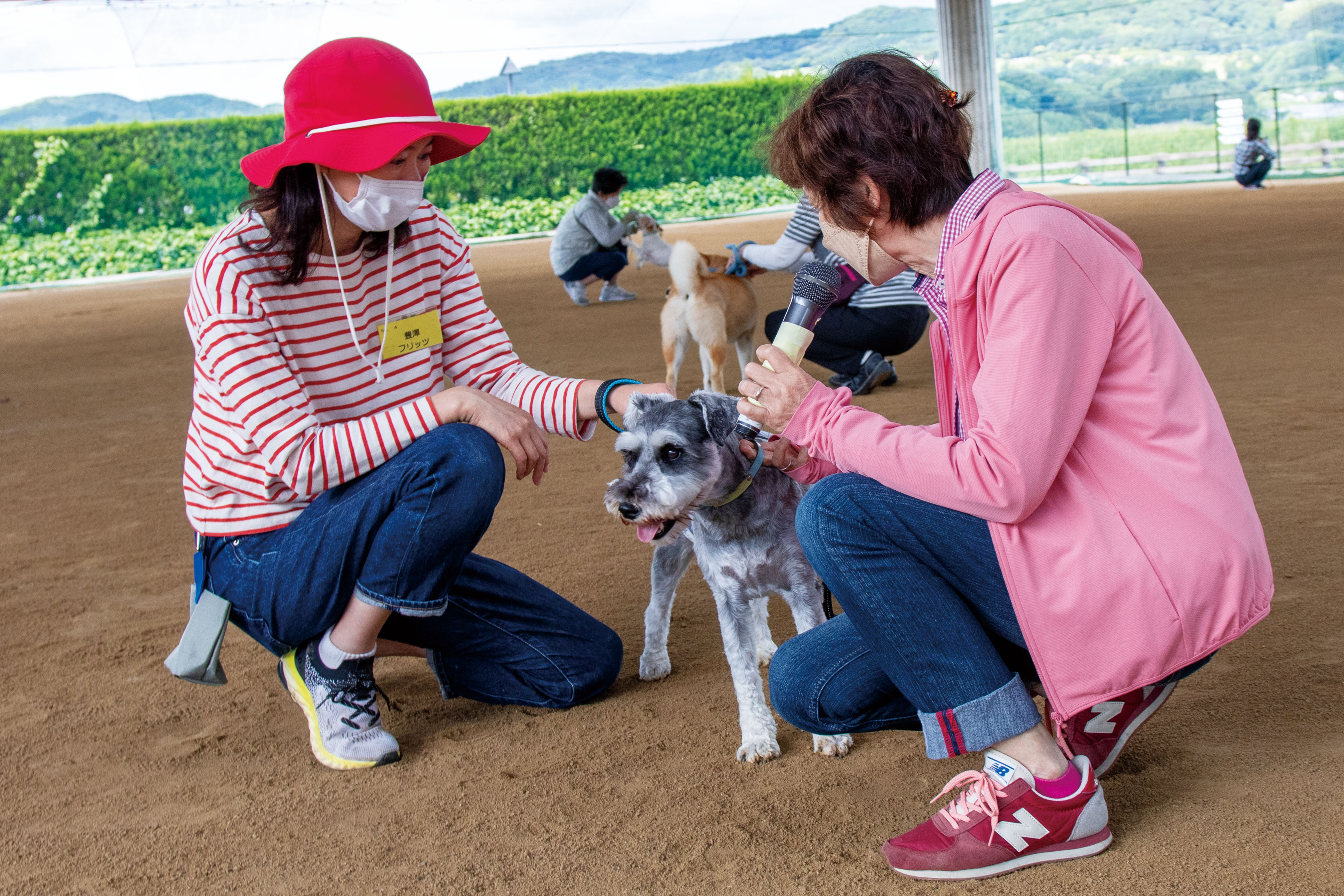 犬と飼い主の写真