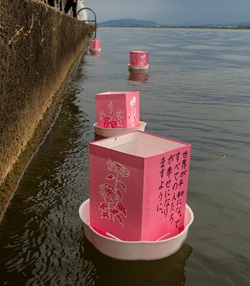 灯篭流しの写真