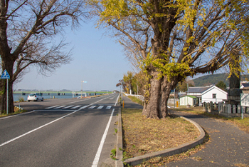 立屋敷土手<平成25年撮影>