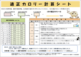 適正カロリー計算シート