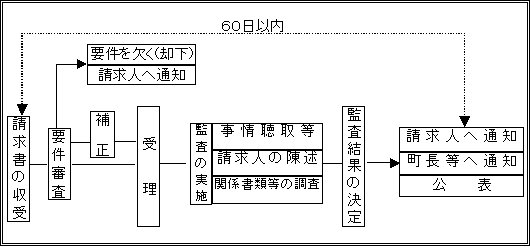 監査の流れ（図解）