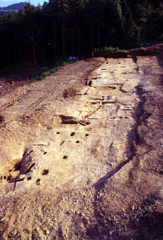 鯉口遺跡